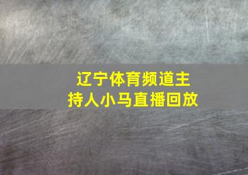 辽宁体育频道主持人小马直播回放