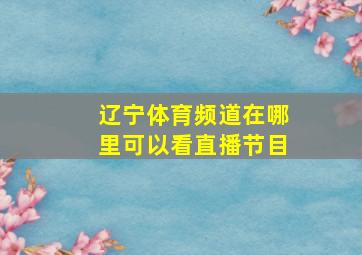 辽宁体育频道在哪里可以看直播节目