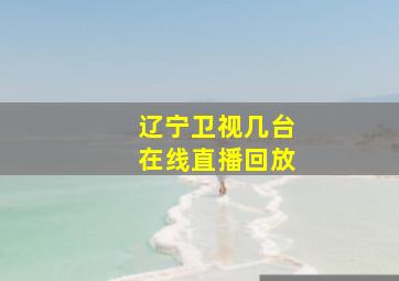 辽宁卫视几台在线直播回放