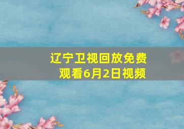 辽宁卫视回放免费观看6月2日视频