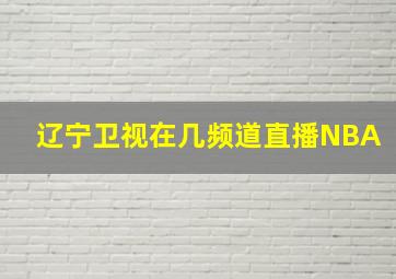 辽宁卫视在几频道直播NBA