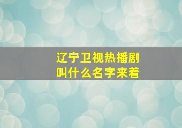 辽宁卫视热播剧叫什么名字来着