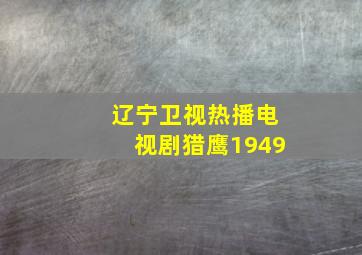 辽宁卫视热播电视剧猎鹰1949