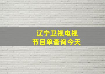 辽宁卫视电视节目单查询今天