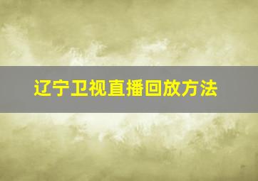 辽宁卫视直播回放方法