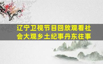 辽宁卫视节目回放观看社会大观乡土纪事丹东往事