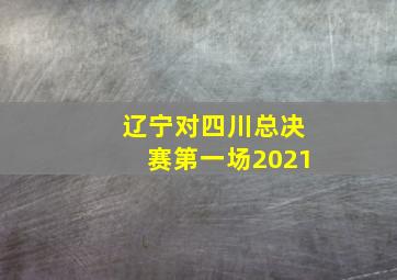 辽宁对四川总决赛第一场2021