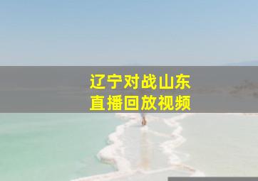 辽宁对战山东直播回放视频