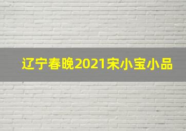 辽宁春晚2021宋小宝小品