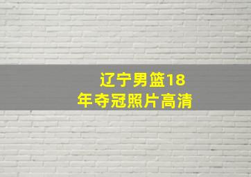 辽宁男篮18年夺冠照片高清