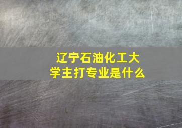 辽宁石油化工大学主打专业是什么