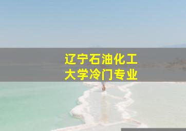 辽宁石油化工大学冷门专业