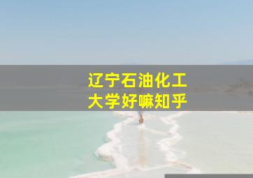 辽宁石油化工大学好嘛知乎