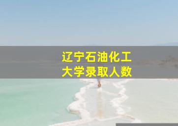 辽宁石油化工大学录取人数