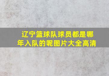 辽宁篮球队球员都是哪年入队的呢图片大全高清