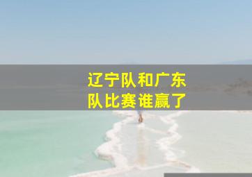 辽宁队和广东队比赛谁赢了