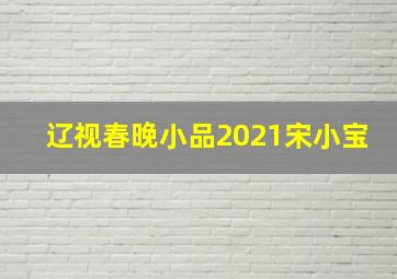 辽视春晚小品2021宋小宝