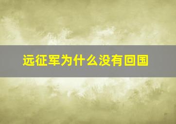 远征军为什么没有回国