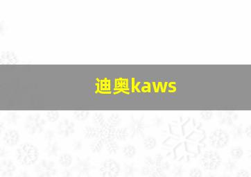 迪奥kaws