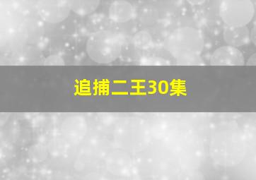 追捕二王30集