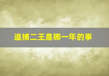 追捕二王是哪一年的事