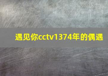 遇见你cctv1374年的偶遇