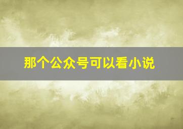 那个公众号可以看小说