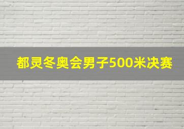 都灵冬奥会男子500米决赛