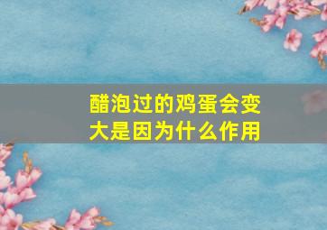 醋泡过的鸡蛋会变大是因为什么作用