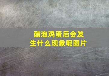 醋泡鸡蛋后会发生什么现象呢图片