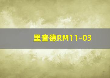 里查德RM11-03