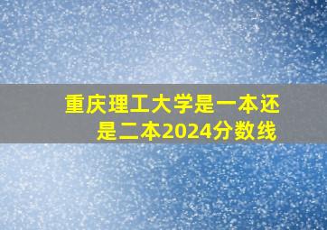 重庆理工大学是一本还是二本2024分数线