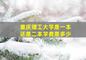 重庆理工大学是一本还是二本学费是多少