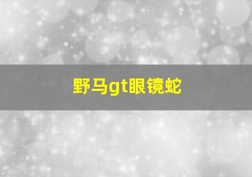 野马gt眼镜蛇