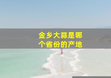 金乡大蒜是哪个省份的产地