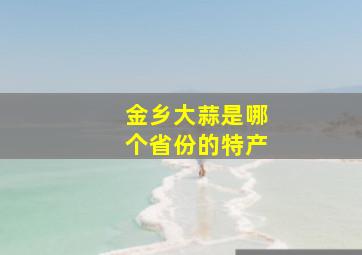 金乡大蒜是哪个省份的特产