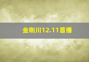 金刚川12.11首播