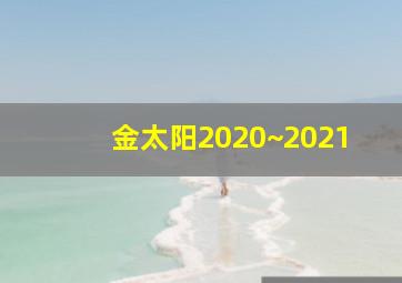 金太阳2020~2021