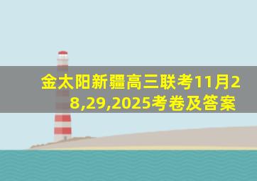 金太阳新疆高三联考11月28,29,2025考卷及答案