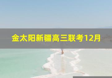 金太阳新疆高三联考12月