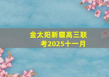 金太阳新疆高三联考2025十一月