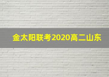 金太阳联考2020高二山东