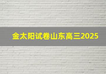 金太阳试卷山东高三2025