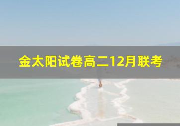 金太阳试卷高二12月联考