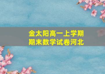 金太阳高一上学期期末数学试卷河北