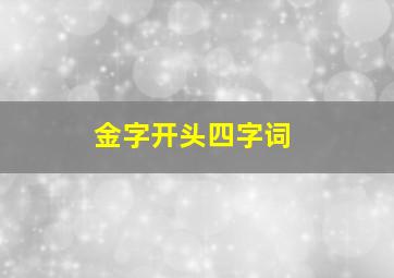 金字开头四字词