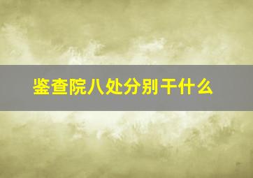 鉴查院八处分别干什么