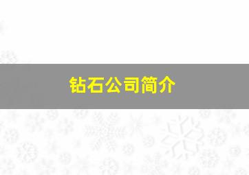 钻石公司简介