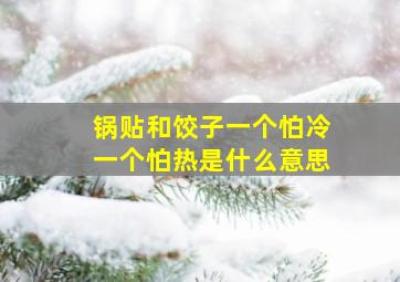 锅贴和饺子一个怕冷一个怕热是什么意思