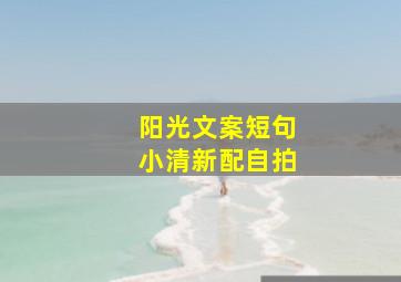 阳光文案短句小清新配自拍